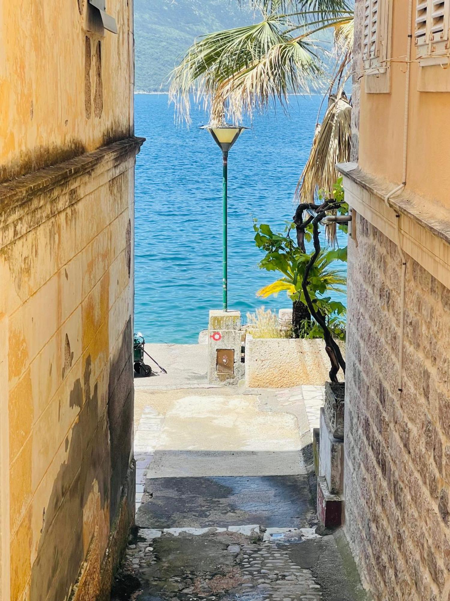 Hearth Of Rose Appartement Herceg Novi Buitenkant foto